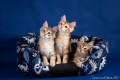08_