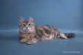 112_Мальчик-голубое-серебро-с-мраморным-рисунком-(второй)_05