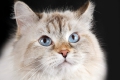 09_1