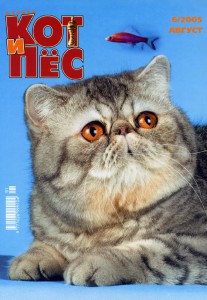 kot_i_pes_2006_ 77