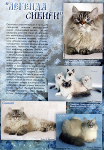 Журнал "Кот и Пёс" - 2005
