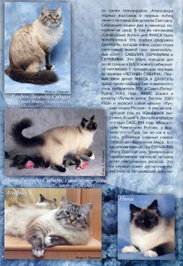 Журнал "Кот и Пёс" - 2005