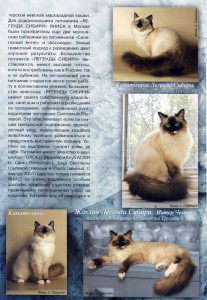 Журнал "Кот и Пёс" - 2005