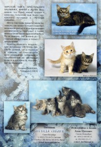 Журнал "Кот и Пёс" - 2005