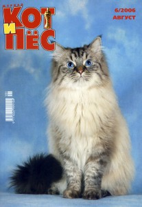кот и пес - обложка Кот и Пес